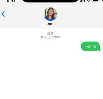 东城街道apple维修iPhone上无法正常发送iMessage信息