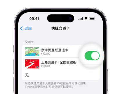 东城街道apple维修点分享iPhone上更换Apple Pay快捷交通卡手绘卡面 