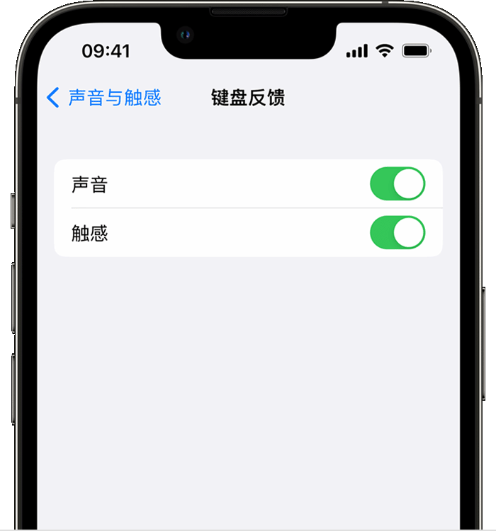 东城街道苹果14维修分享iPhone 14 系列机型如何开启键盘声音或触感反馈 