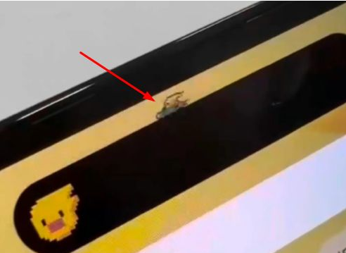 东城街道苹果14维修分享iPhone 14 Pro Max灵动岛怎么养宠物 