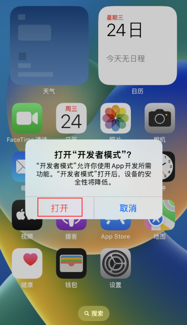 东城街道苹果手机维修分享如何打开开发者模式 