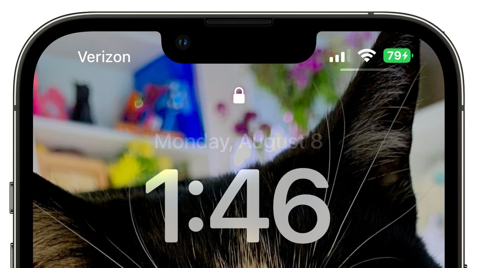 东城街道苹果手机维修分享iOS 16 beta 5 支持状态栏显示电池百分比，如何开启？支持哪些机型 
