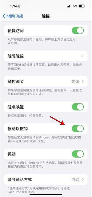 东城街道苹果手机维修分享iPhone手机如何设置摇一摇删除文字 