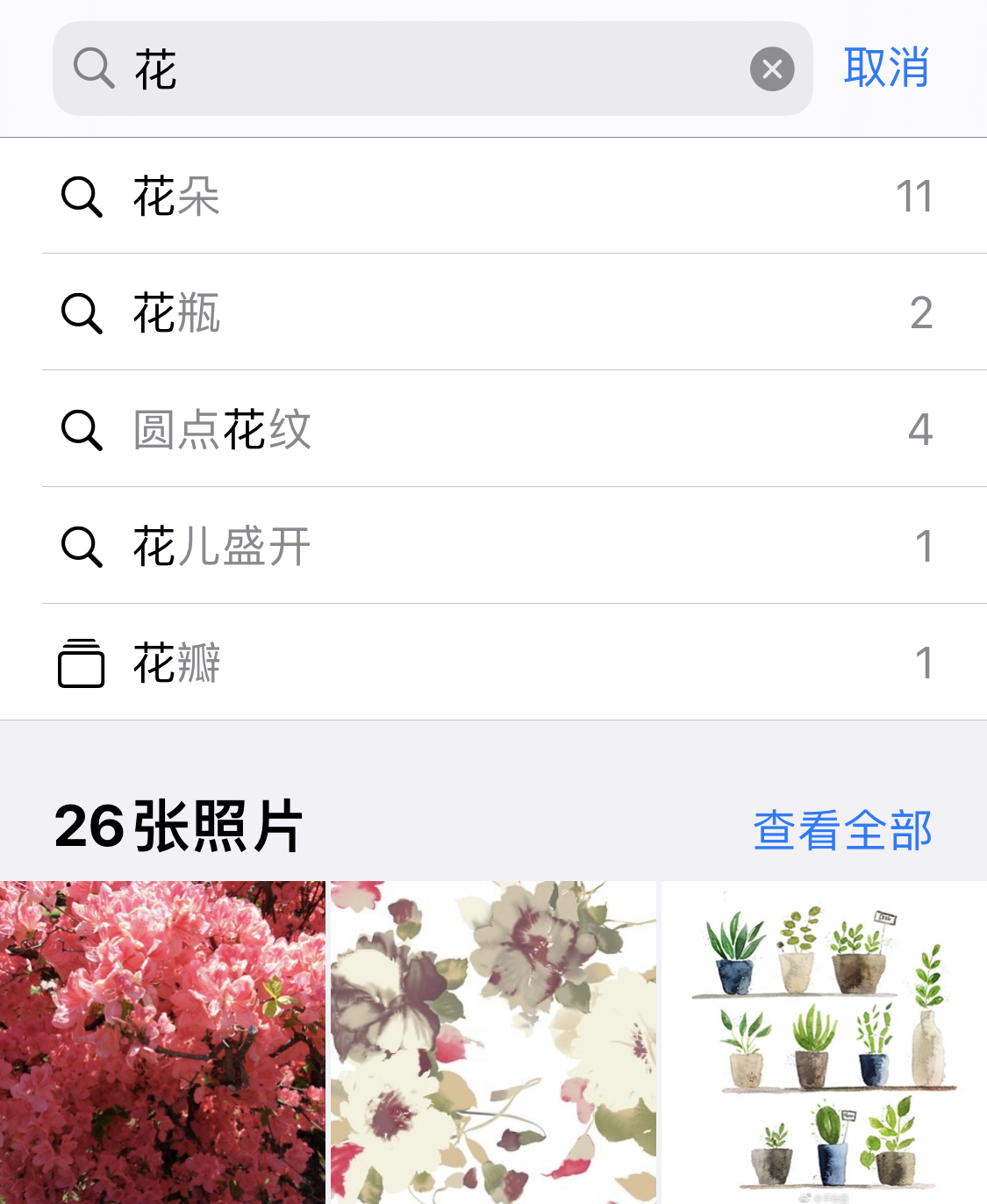 东城街道苹果手机维修分享iPhone 小技巧 