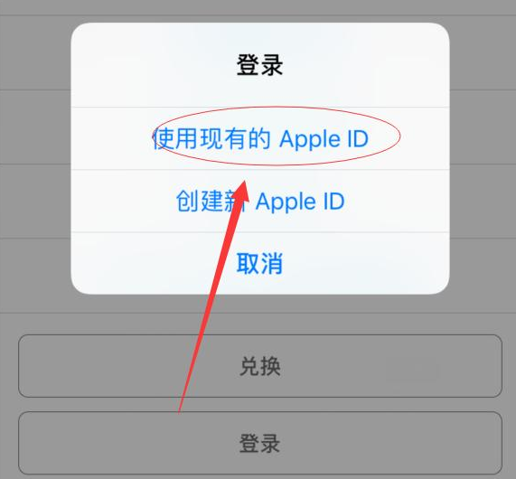 东城街道苹果手机维修分享两台iPhone设备可以同时登录一个Apple ID吗 