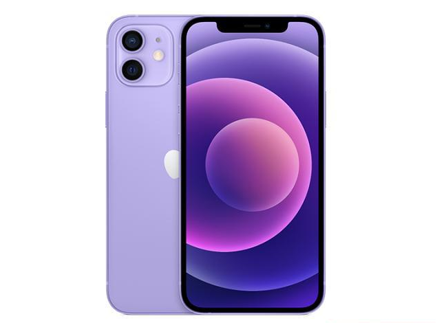 东城街道苹果手机维修分享现阶段要不要入手紫色版iPhone12 