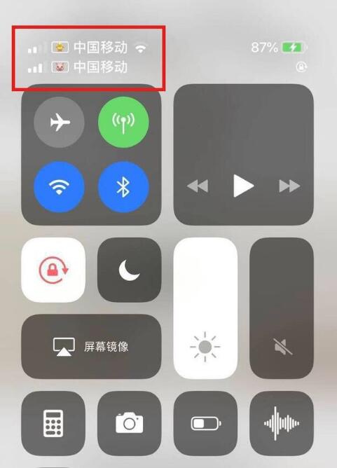 东城街道苹果手机维修分享为 iPhone 12 双卡设置标签 